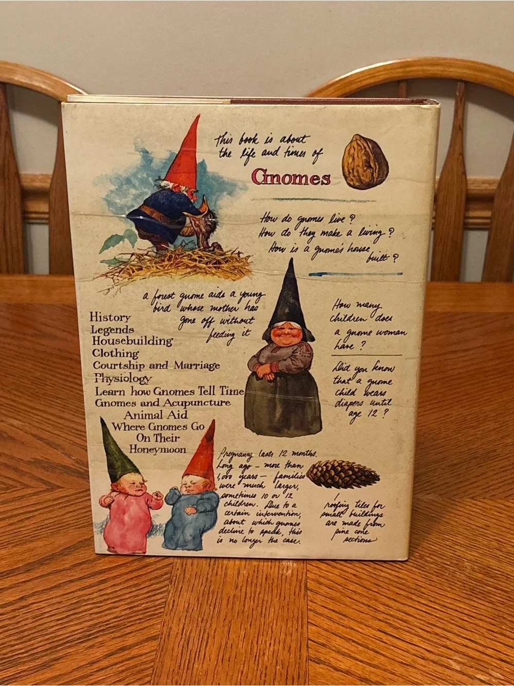 Gnomes by Wil Huygen & Rien Poortvliet – 1977 Vintage Hardcover Art Book